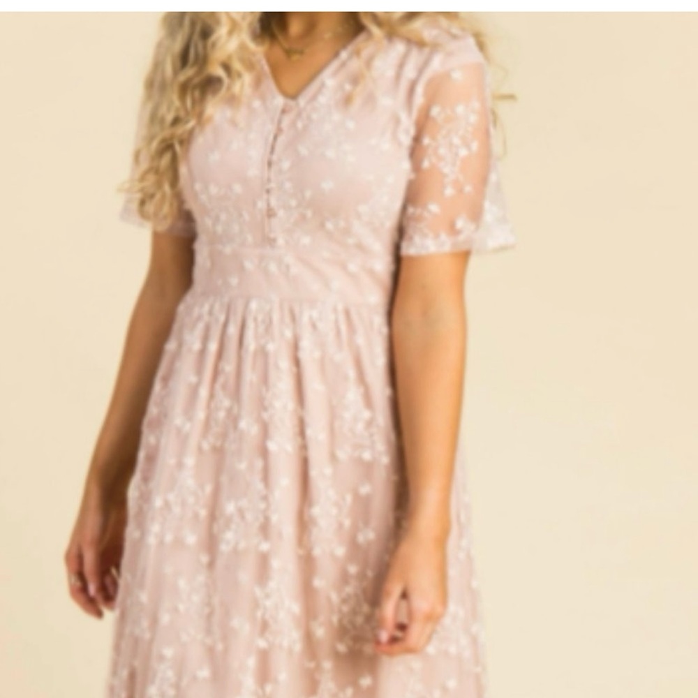 Arbor blush pink Lace vneck Dress